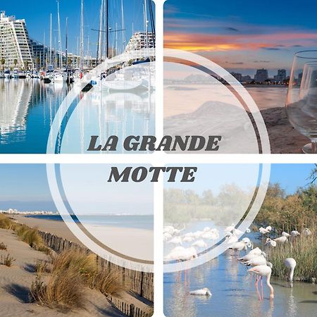 Le Dream Beach-Terrasse-Vue Mer D'Exception-Wifi-Parking - Top Pros Servicesconciergerie Palavas-les-Flots Luaran gambar
